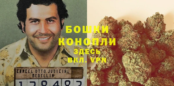 дживик Зерноград