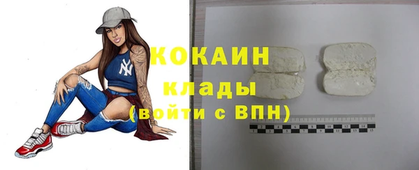 дживик Зерноград