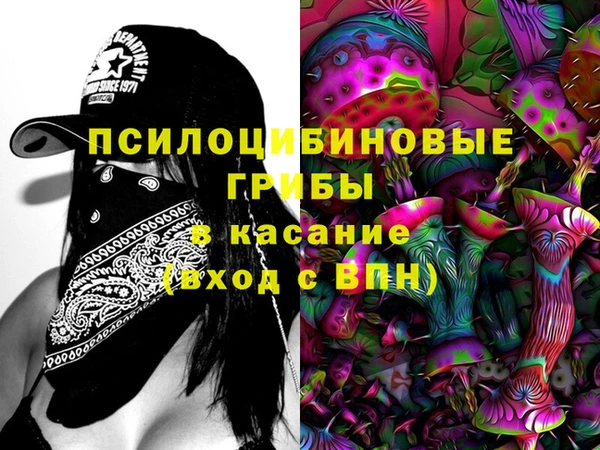 ECSTASY Зеленодольск