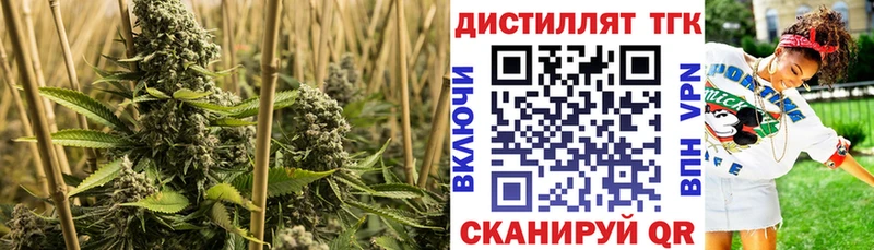 Купить где  Кирсанов  Дистиллят ТГК вейп с тгк 